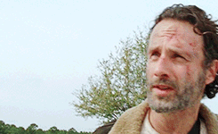 Rick, Carl, Michonne