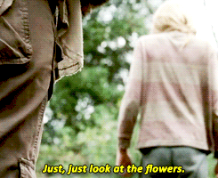 Just look at the flowers